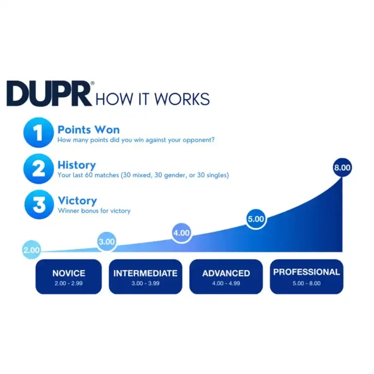 DUPR Image 3
